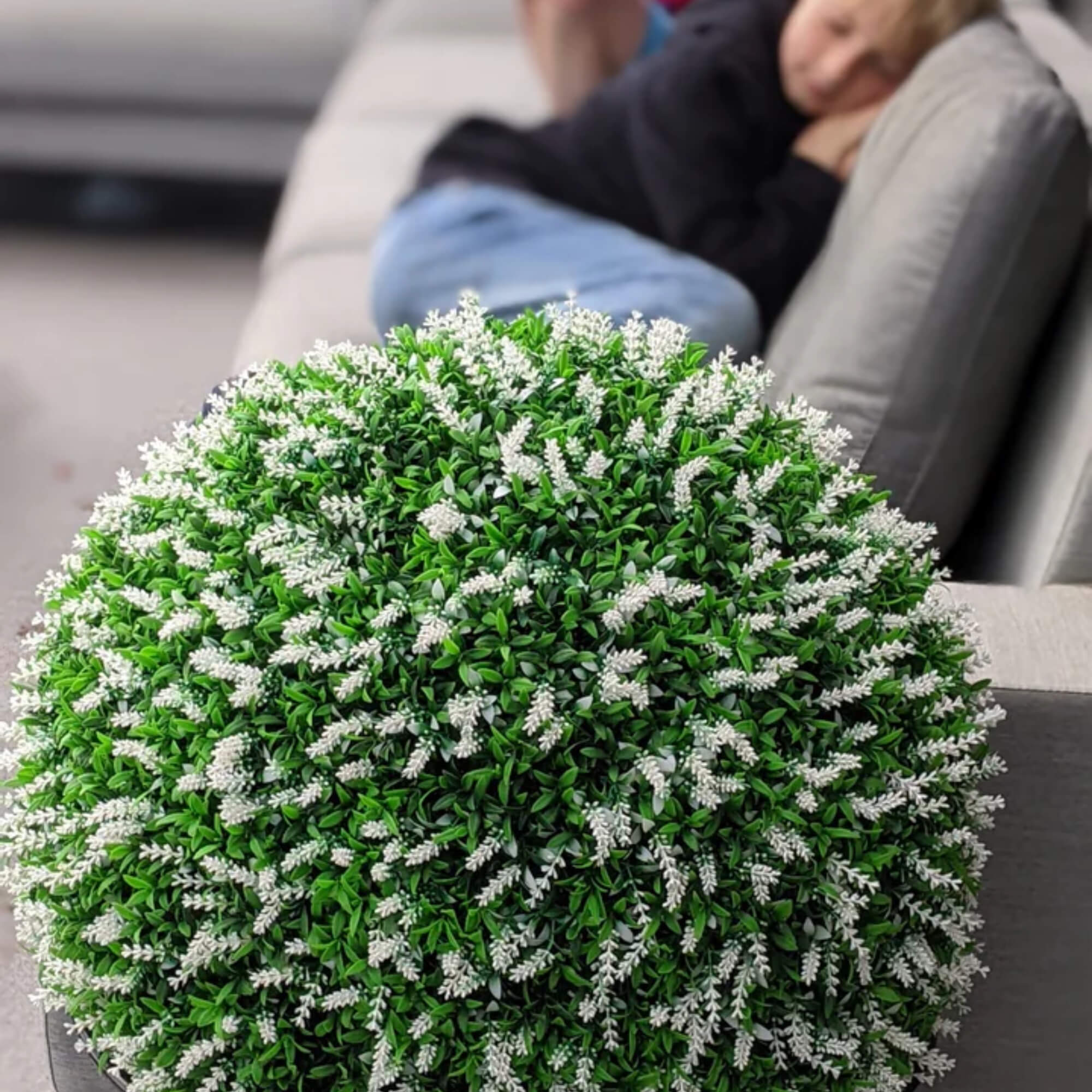 "Elevate Your Outdoors Tips to Choose the Best Topiary Balls for 365