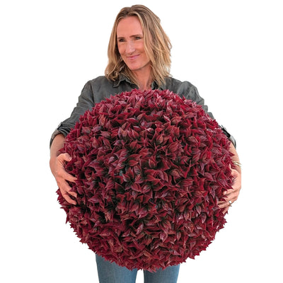 365 Curb Appeal Topiary ball 1 topiary ball (2 halves) 23" XL Burgundy topiary ball