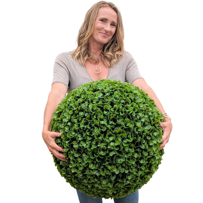 365 Curb Appeal Topiary ball 1 topiary ball (2 halves) 23" XL Suculents