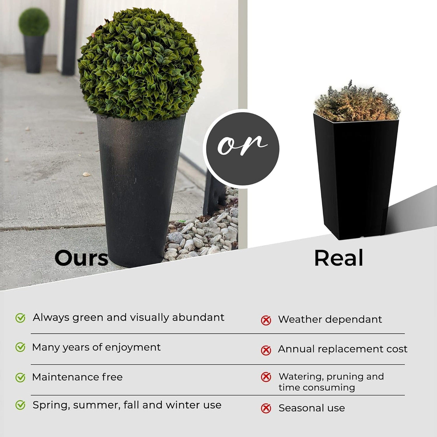 365 Curb Appeal Topiary ball 2 PACK (4 halves) Bougainvillea Topiary Ball (2 Pack)