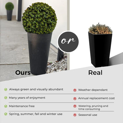 365 Curb Appeal Topiary ball 2 PACK (4 halves) Bougainvillea Topiary Ball (2 Pack)
