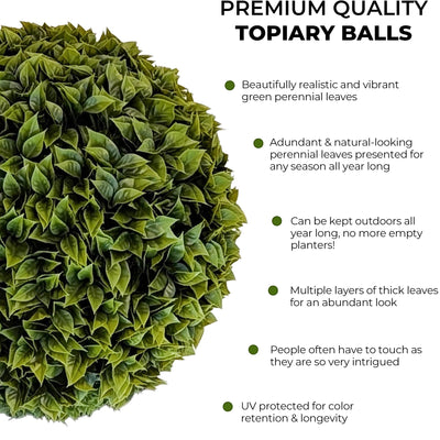 365 Curb Appeal Topiary ball 2 PACK (4 halves) Bougainvillea Topiary Ball (2 Pack)