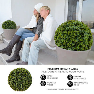 365 Curb Appeal Topiary ball 2 PACK (4 halves) Bougainvillea Topiary Ball (2 Pack)