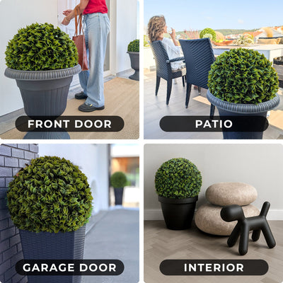 365 Curb Appeal Topiary ball 2 PACK (4 halves) Bougainvillea Topiary Ball (2 Pack)