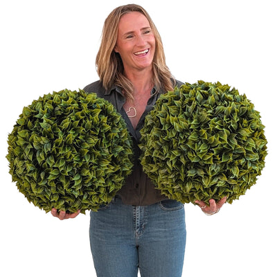 365 Curb Appeal Topiary ball 2 PACK (4 halves) Bougainvillea Topiary Ball (2 Pack)