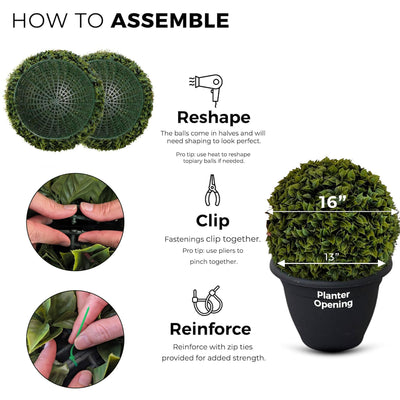 365 Curb Appeal Topiary ball 2 PACK (4 halves) Bougainvillea Topiary Ball (2 Pack)