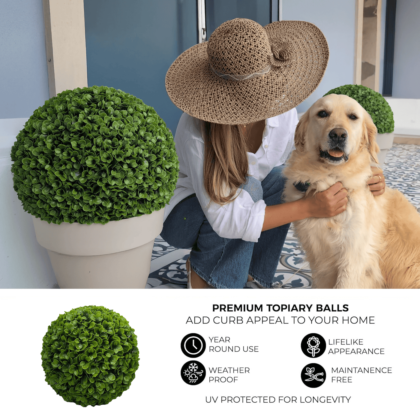 succulent topiary ball Succulent Topiary Ball (2 Pack) Large – 365 Curb Appeal