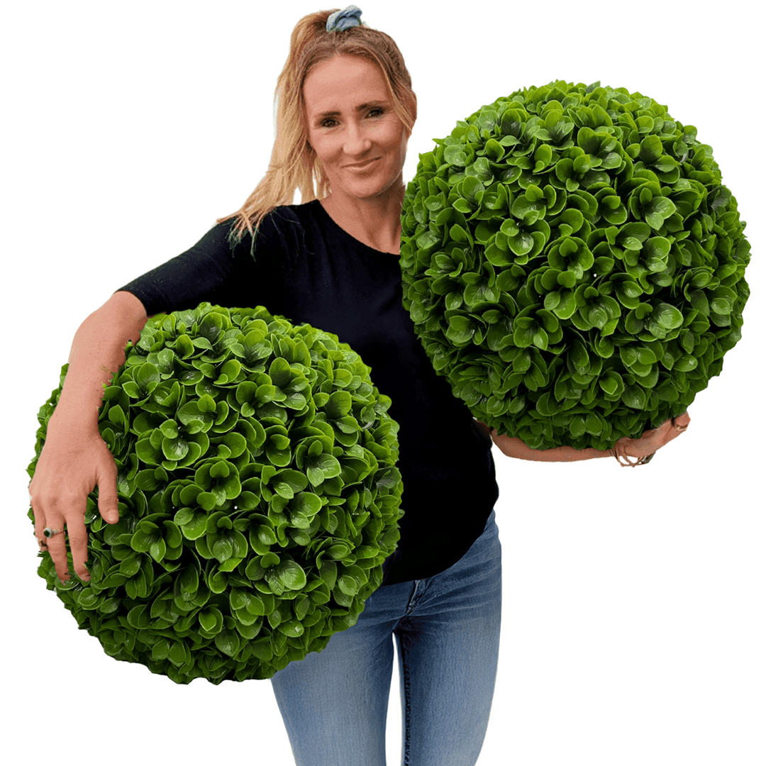 Succulent Topiary Ball (2 Pack) Large