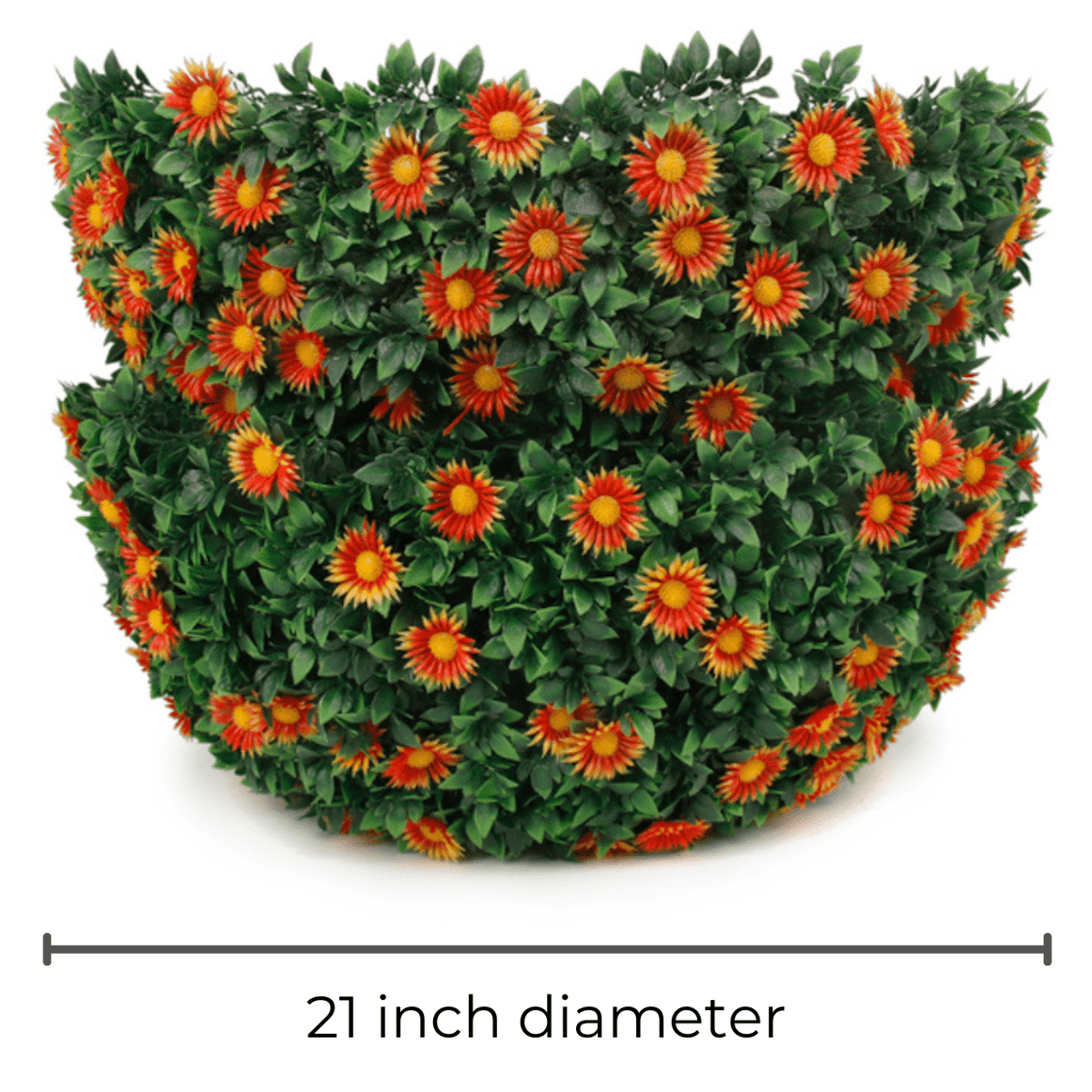 Colorful topiary collection 365 Curb Appeal