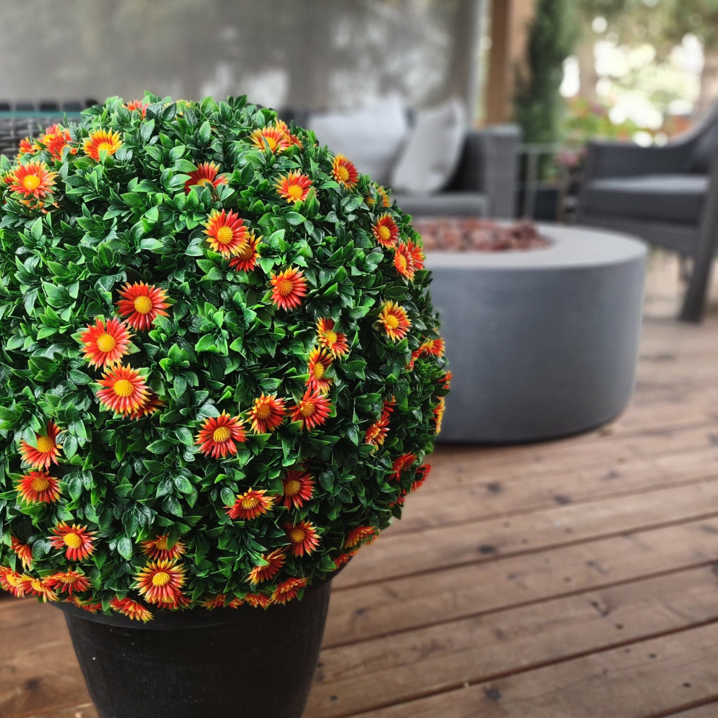 365 Curb Appeal Topiary ball 21" XL Mums Topiary Ball