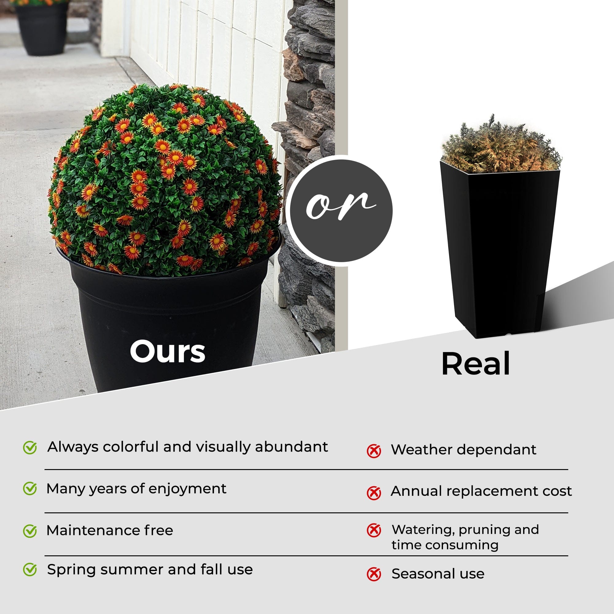 365 Curb Appeal Topiary ball 21" XL Mums Topiary Ball