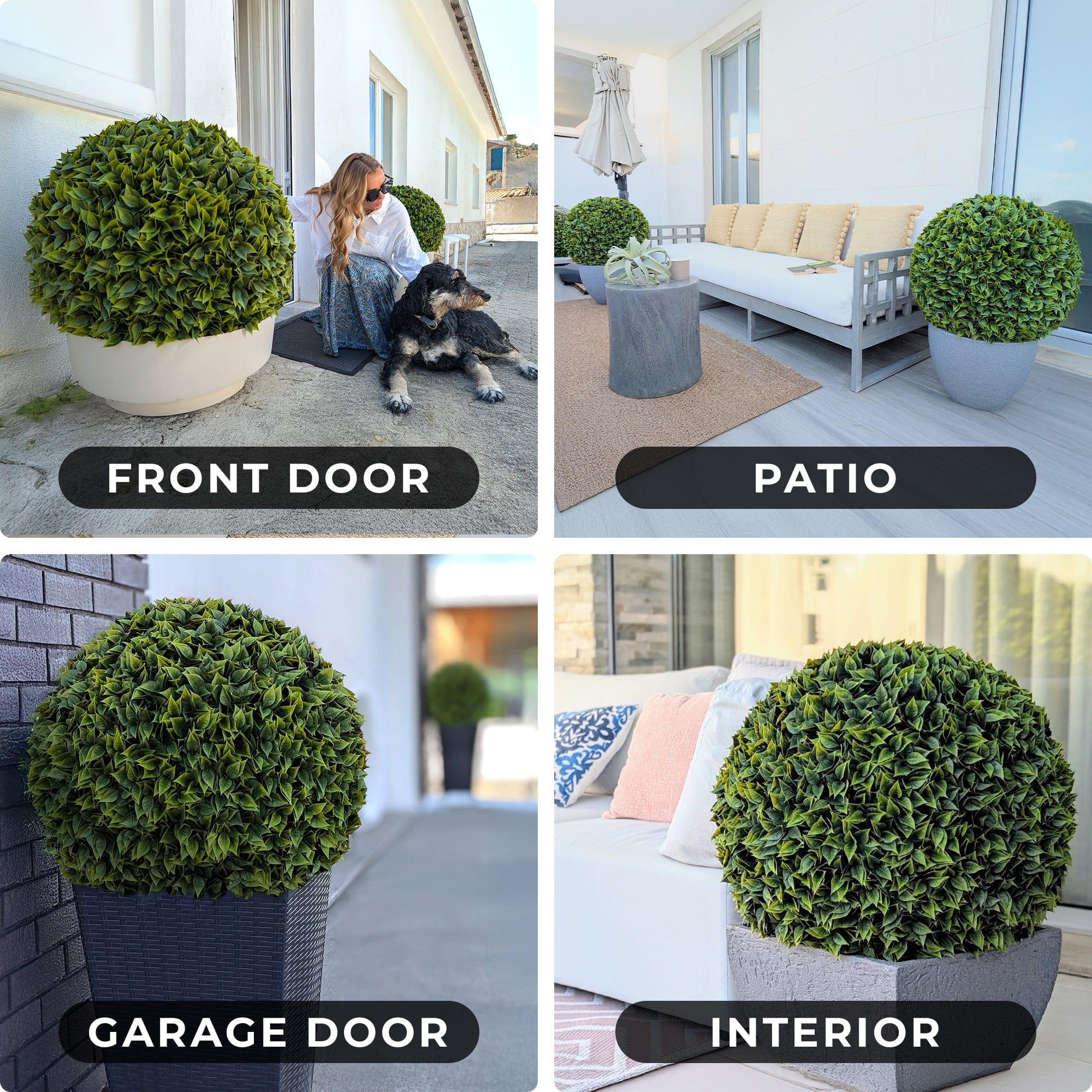 365 Curb Appeal Topiary ball 23