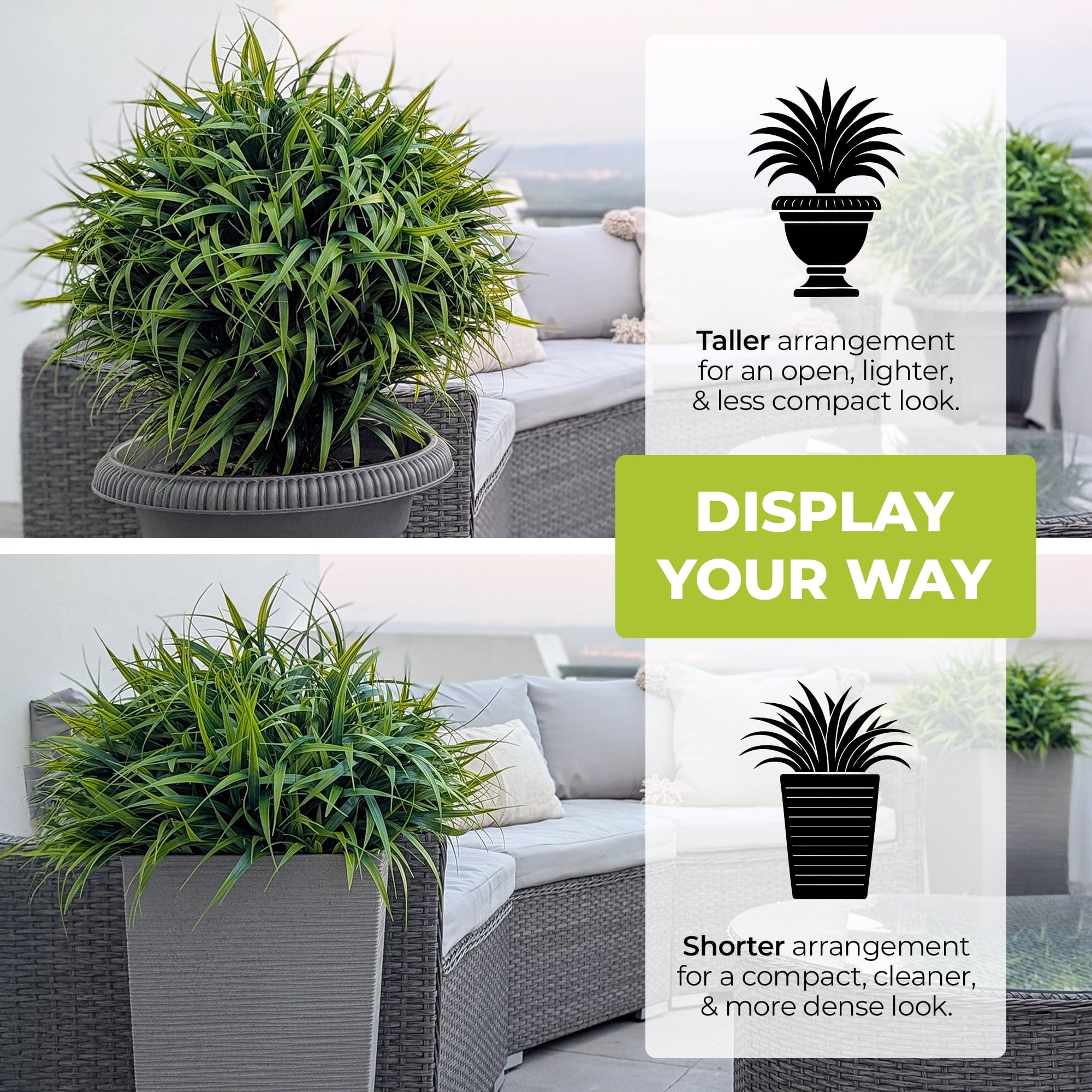 365 Curb Appeal Topiary ball Spiked Spider Lilly Bush