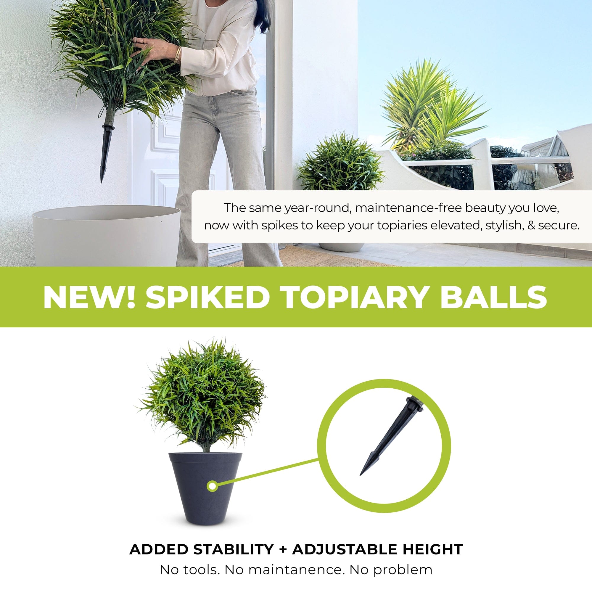 365 Curb Appeal Topiary ball Spiked Spider Lilly Bush