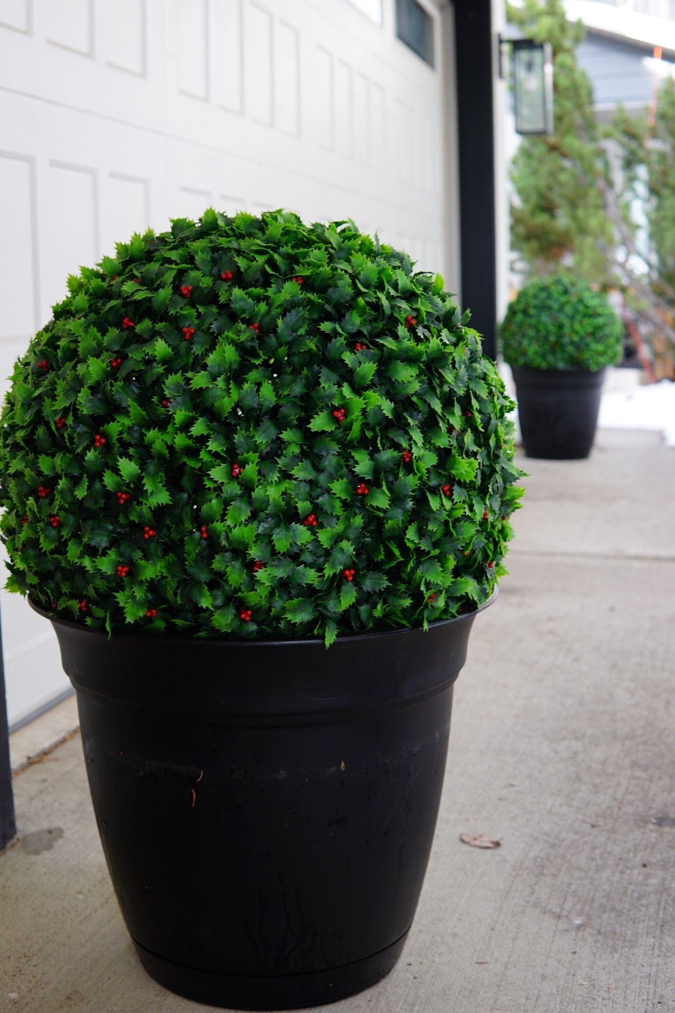 365 Curb Appeal Topiary ball XL 21