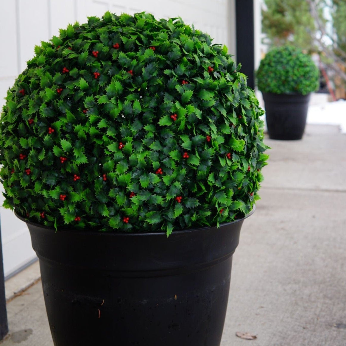 365 Curb Appeal Topiary ball XL 21