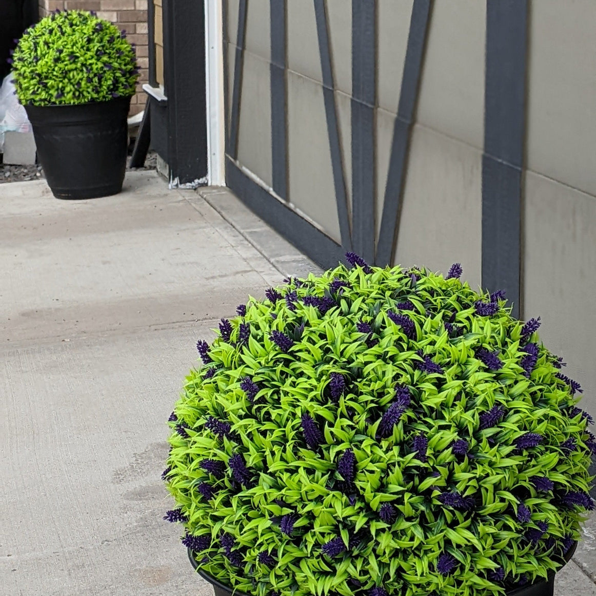 365 Curb Appeal Topiary ball XL 23