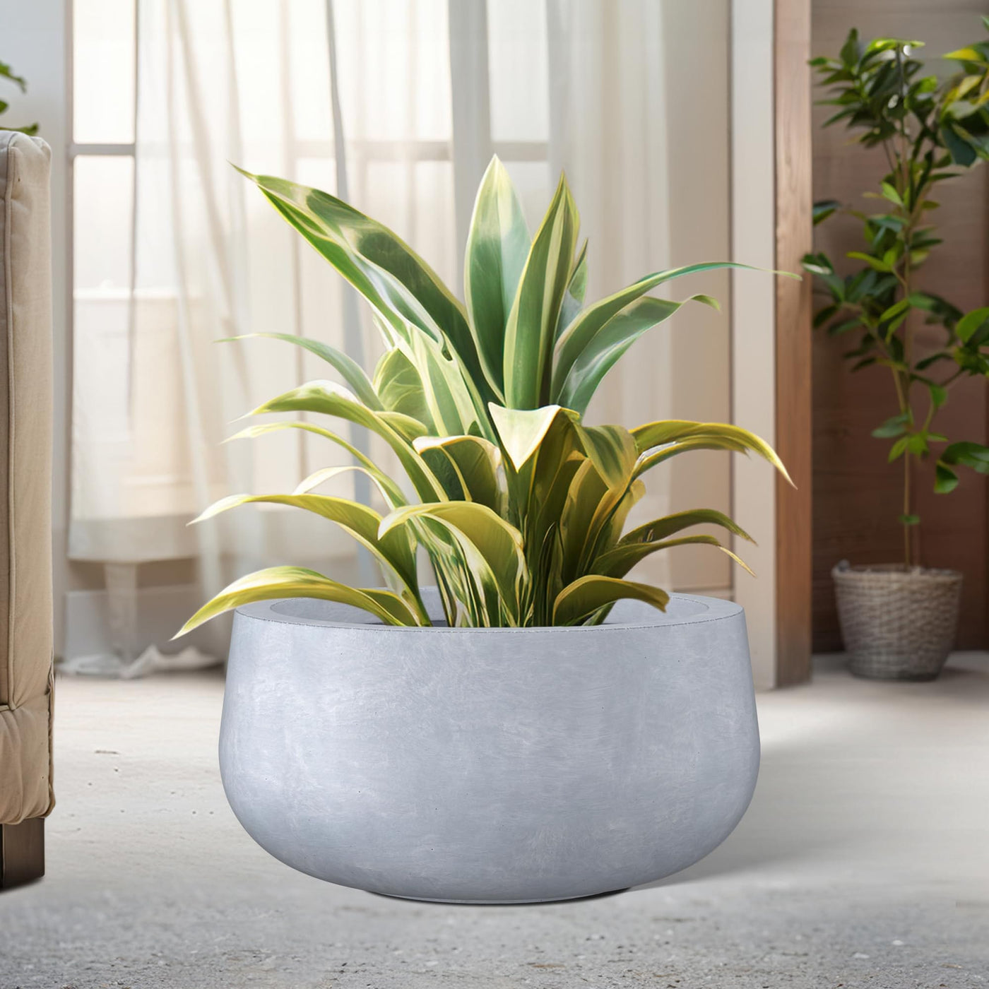 Kante Kante 15.7" Dia Round Concrete Planter, Cement Plant Pots with Drainage Hole and Rubber Plug for Outdoor Indoor Garden Home, Modern Curvaceous Design, Gray