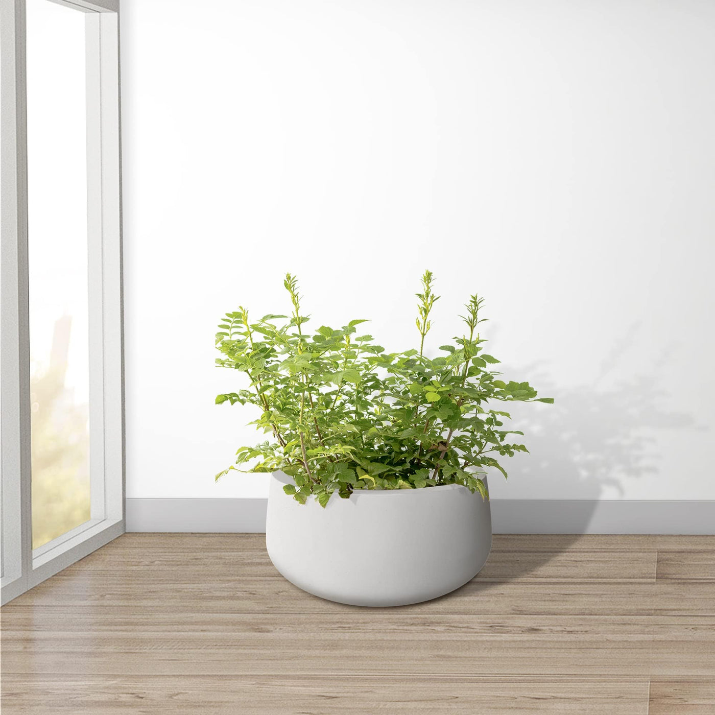 Kante Kante 15.7" Dia Round Concrete Planter, Outdoor Indoor Garden Plant Pots with Drainage Hole and Rubber Plug, Modern Curvaceous Design, Pure White