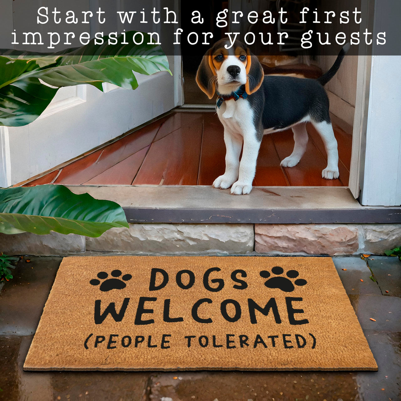 Dogs Welcome People Tolerated Door Mat 30x17 Inch Funny Dog Doormat 365 Curb Appeal