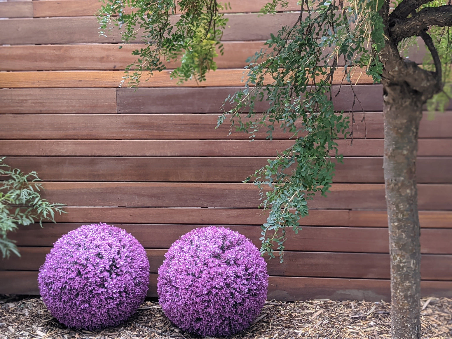 VRUI Cedar Sphere Xtra Large Eucalyptus Sphere - Pink